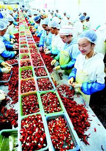 农产品加工业成荆州支柱 湖北农产品加工业突破万亿