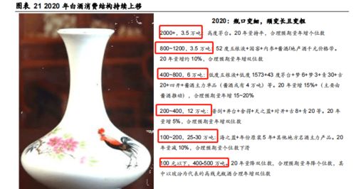 何以解忧 白酒消费邀您一醉