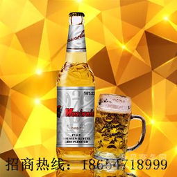 低端低价位山东啤酒厂生产330毫升小瓶啤酒批发加盟价格,产品报价