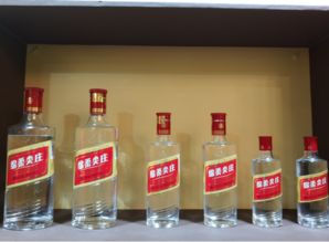 现场直击 五粮液系列酒花式场景营销