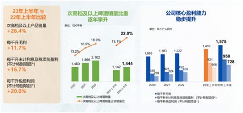 企业观 华润啤酒强调高端化和经济型产品双轨并进,白酒要回归以动销为目的的销售模式