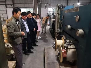 哪个实力更强 答案令人意想不到